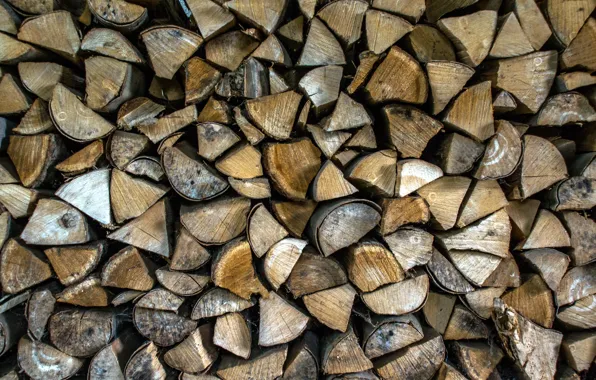 Background, texture, wood