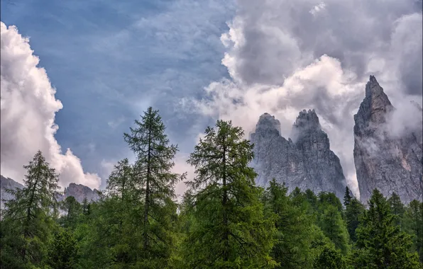 Forest, clouds, trees, mountains, rocks, Italy, The Dolomites, The rose garden