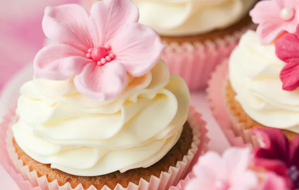 Decoration, flowers, cream, dessert, cakes, cakes, sweet, cupcakes