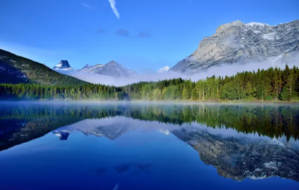 Forest, nature, lake, reflection, Canada, Banff National Park