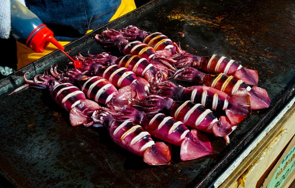 Food, seafood, squid, grill