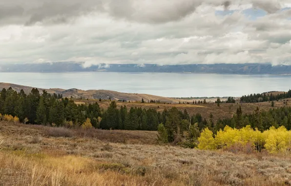 Autumn, nature, lake, nature, autumn, lake, fall