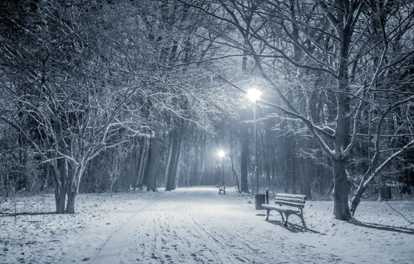 Picture winter, snow, trees, landscape, bench, lights, Park, lights