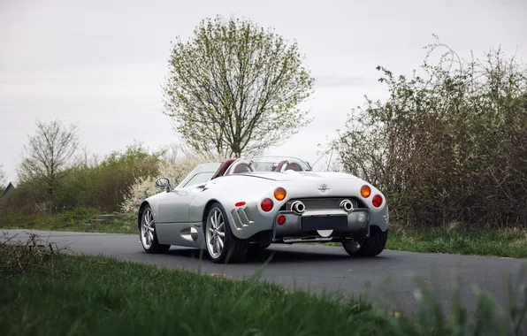 Picture Spyker, 2004, C8, Spyker C8 Spyder