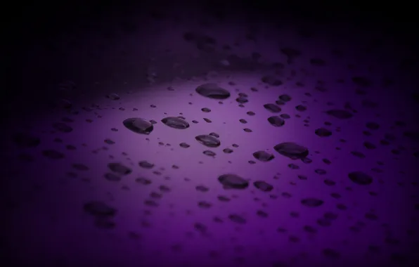 Picture purple, water, drops, macro, background