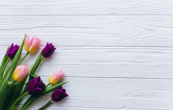Flowers, tulips, pink, fresh, wood, pink, flowers, beautiful