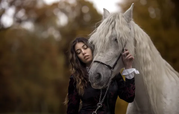 Girl, background, horse