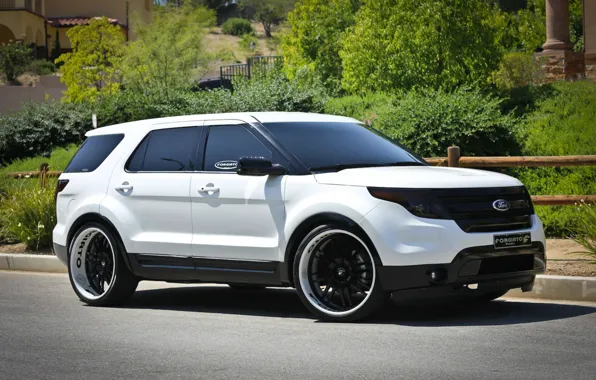 Picture Ford, Explorer, 2013
