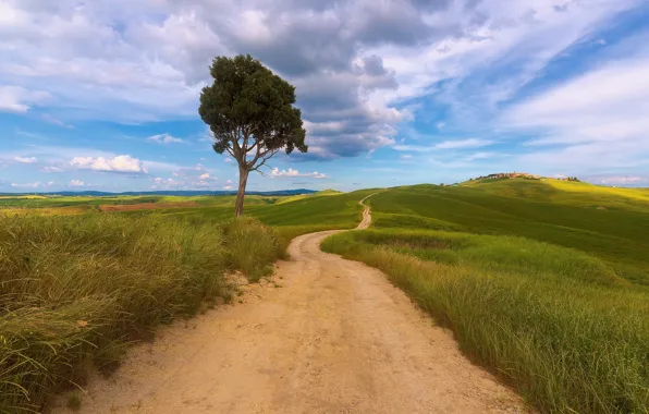 Road, greens, field, summer, grass, clouds, green, the way