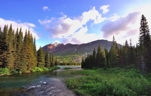 Picture forest, the sky, clouds, mountains, river