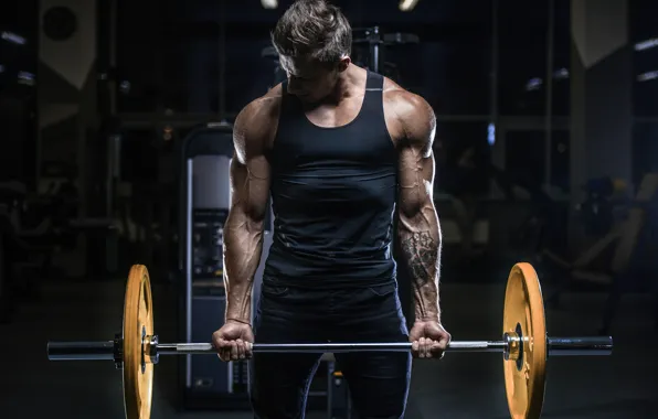 Pose, tattoo, muscle, muscle, rod, athlete, biceps, gym