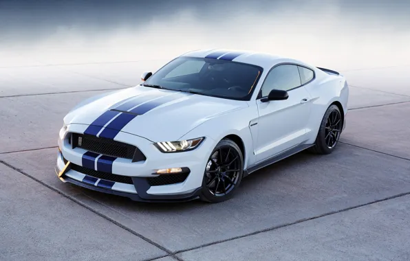 Shelby, 350, 2015