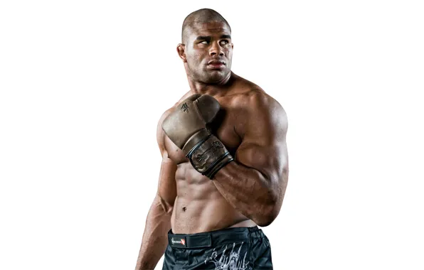 Picture MMA, mixed martial arts, Alistair Overeem, Alistair Overeem