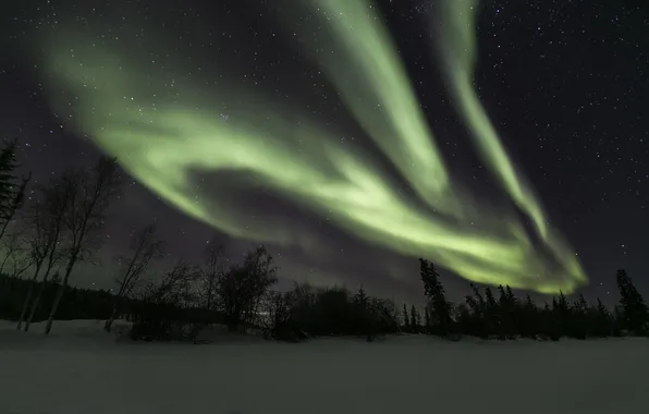 Winter, the sky, stars, night, Northern lights, Northern Canada