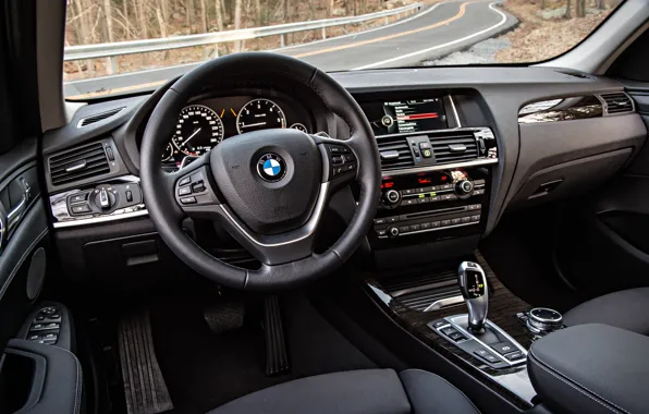 BMW, interior, BMW, the wheel, salon, crossover, F25