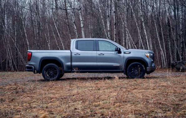 Picture pickup, 2018, GMC, in profile, Sierra, Crew Cab, 2019, Elevation