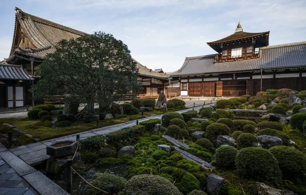 Nature, Tree, Japan, Garden, Stones, Moss