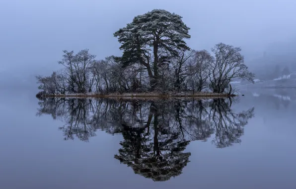 Picture trees, lake, reflection, Scotland, island, Scotland, Loch Awe, Loch Awe