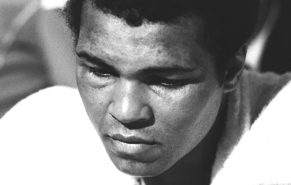 Black and white, legend, Muhammad Ali, boxer, Cassius Clay