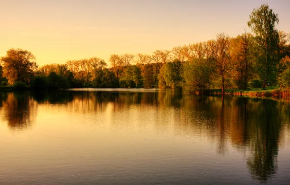 Autumn, forest, light, trees, lake, reflection, shore