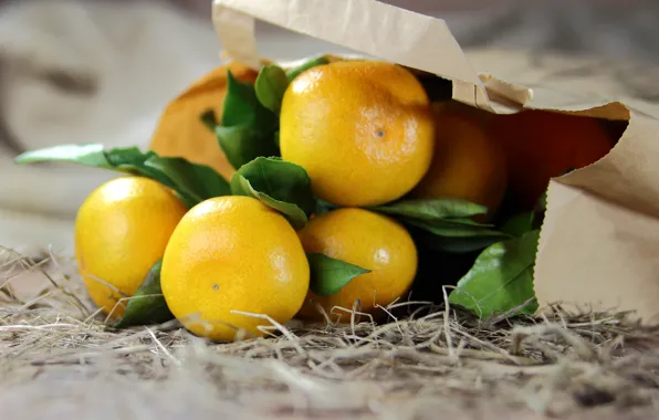Picture package, bokeh, tangerines, soon the New year