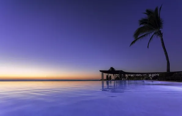 Sunset, Palma, the ocean, Mexico, Mexico, Pacific Ocean, The Pacific ocean, Nayarit