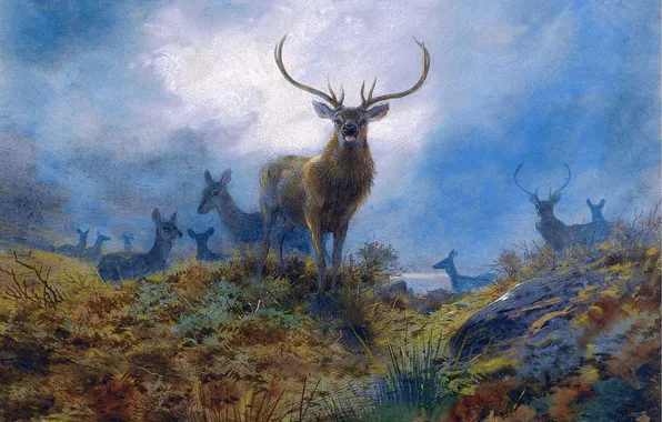 Picture, Horns, Deer, Archibald Thorburn, Archibald Thorburn,, Scottish painter, Last chance before dark