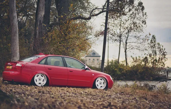 Autumn, leaves, trees, Audi, Audi