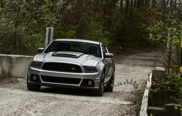 Picture road, forest, trees, mustang, ford, gravel, roush, 2013
