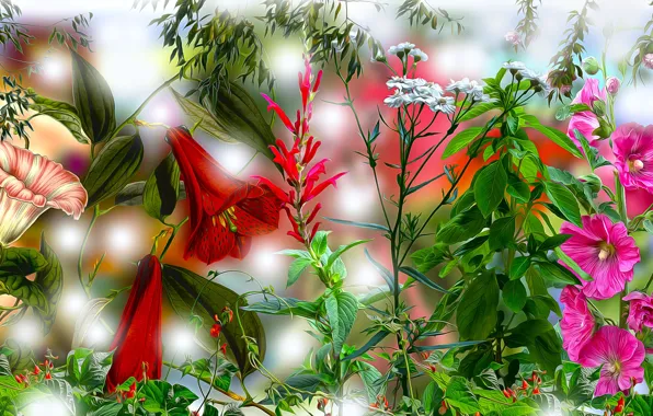 Graphics, flowers, malwy