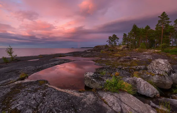 Trees, landscape, sunset, nature, lake, stones, the evening, Lake Ladoga
