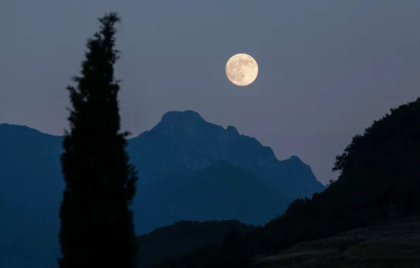 Picture the sky, mountains, night, nature, tree, rocks, the moon, the full moon