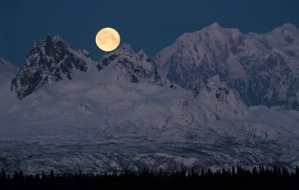 Snow, trees, mountains, night, nature, rocks, the moon, the full moon
