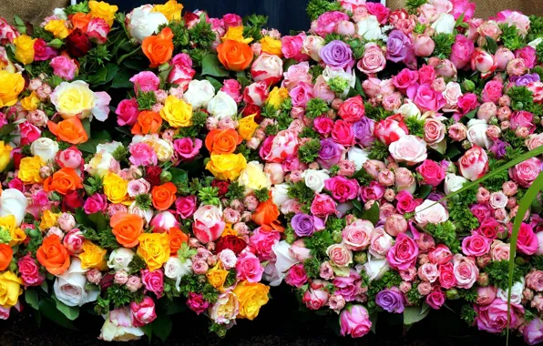 Flowers, orange, yellow, background, bright, roses, bouquet, pink