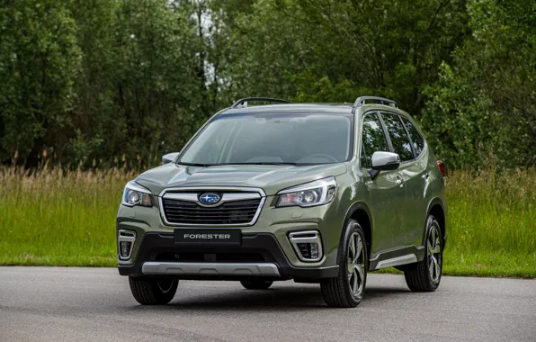 Subaru, crossover, Forester, the five-door, 2019