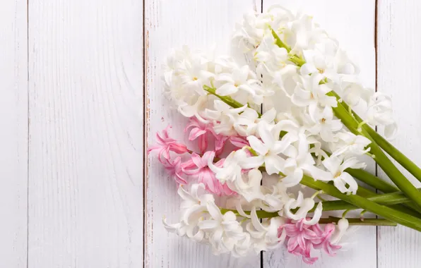 Flowers, pink, bouquet, white, hyacinths, Olena Rudo