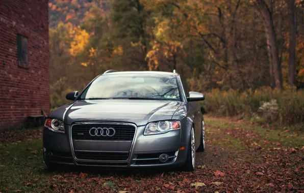 Picture autumn, Audi, Audi, foliage, universal