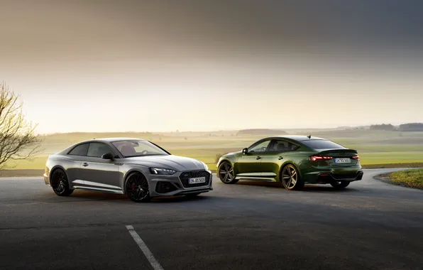 Picture Audi, coupe, TFSI, RS 5, 2020, Sportback, RS5 Coupe, V6 Biturbo