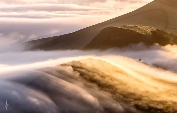 Mountains, fog, morning, obloka