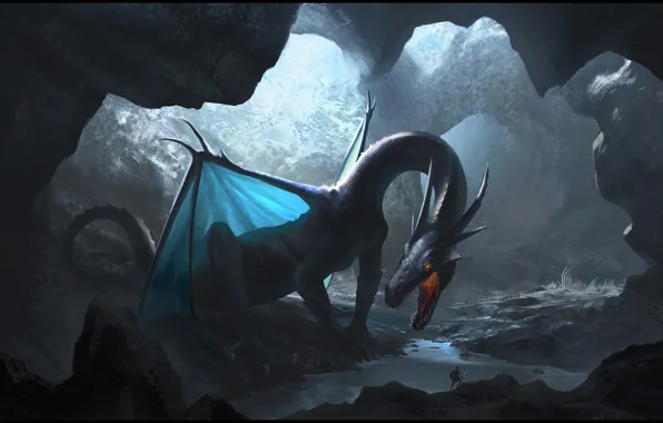 Picture light, dragon, cave, lair