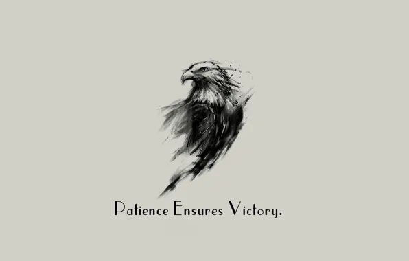 Picture Eagle, minimalism, background, Victory, quote, Patience, simply background, Ensures