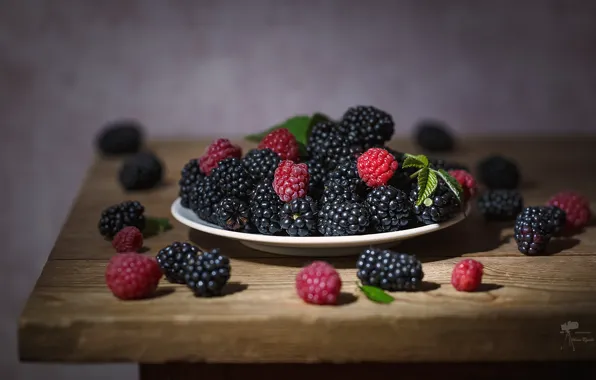 Picture summer, berries, raspberry, bowl, BlackBerry