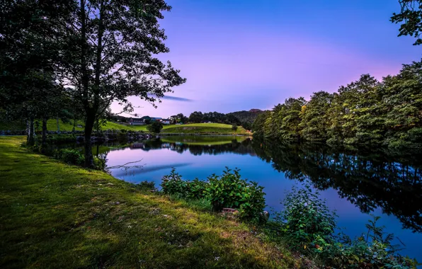 Picture greens, summer, grass, trees, lake, the evening, Norway, houses