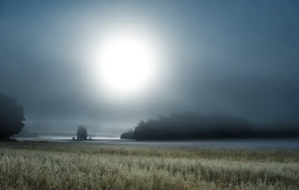 Picture field, night, fog
