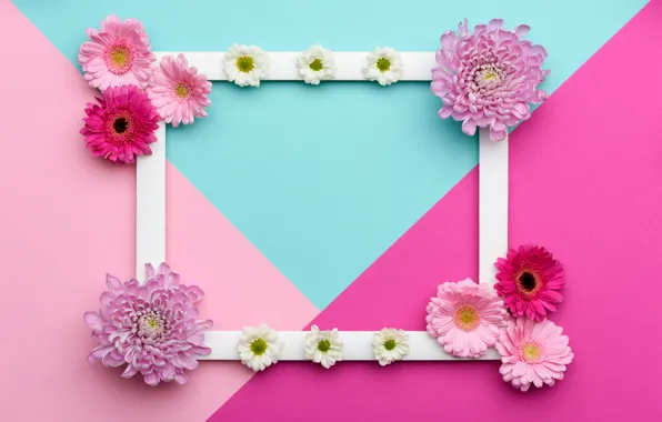 Line, flowers, background, pink, holiday, blue, triangles, color