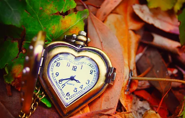 Autumn, leaves, arrows, heart, watch, love, dial, heart