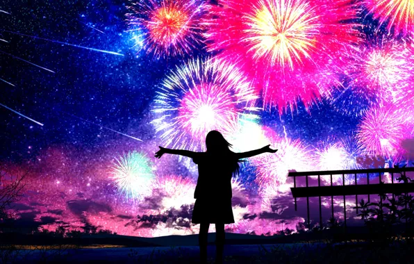 The sky, girl, night, fireworks, Starfall