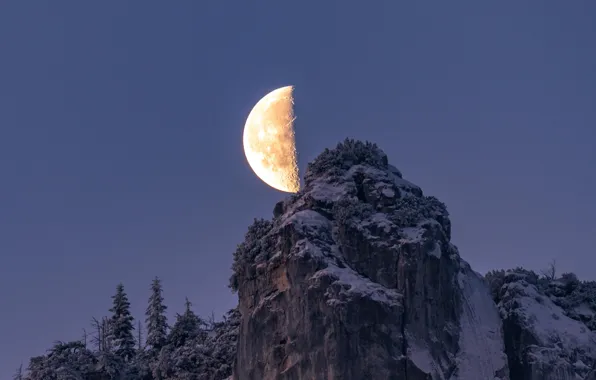 Picture the sky, snow, trees, mountains, night, nature, rocks, the moon