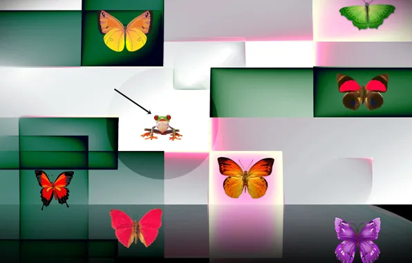 Background, color, form