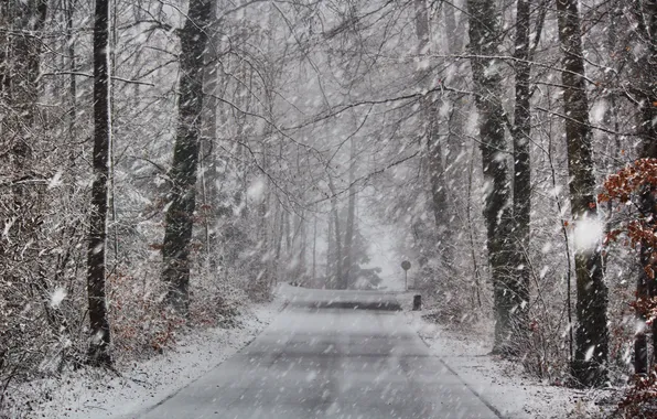 Winter, road, snow